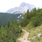 Sentiero del Monte Specie, Dolomiti, Italia. Autore e Copyright Marco Ramerini.